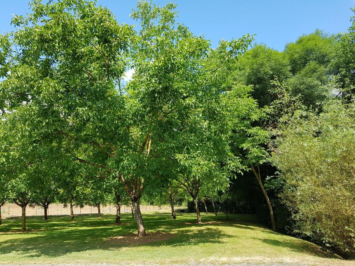 مبيت وإفطار Cavagnac Moulin Du Soustre المظهر الخارجي الصورة